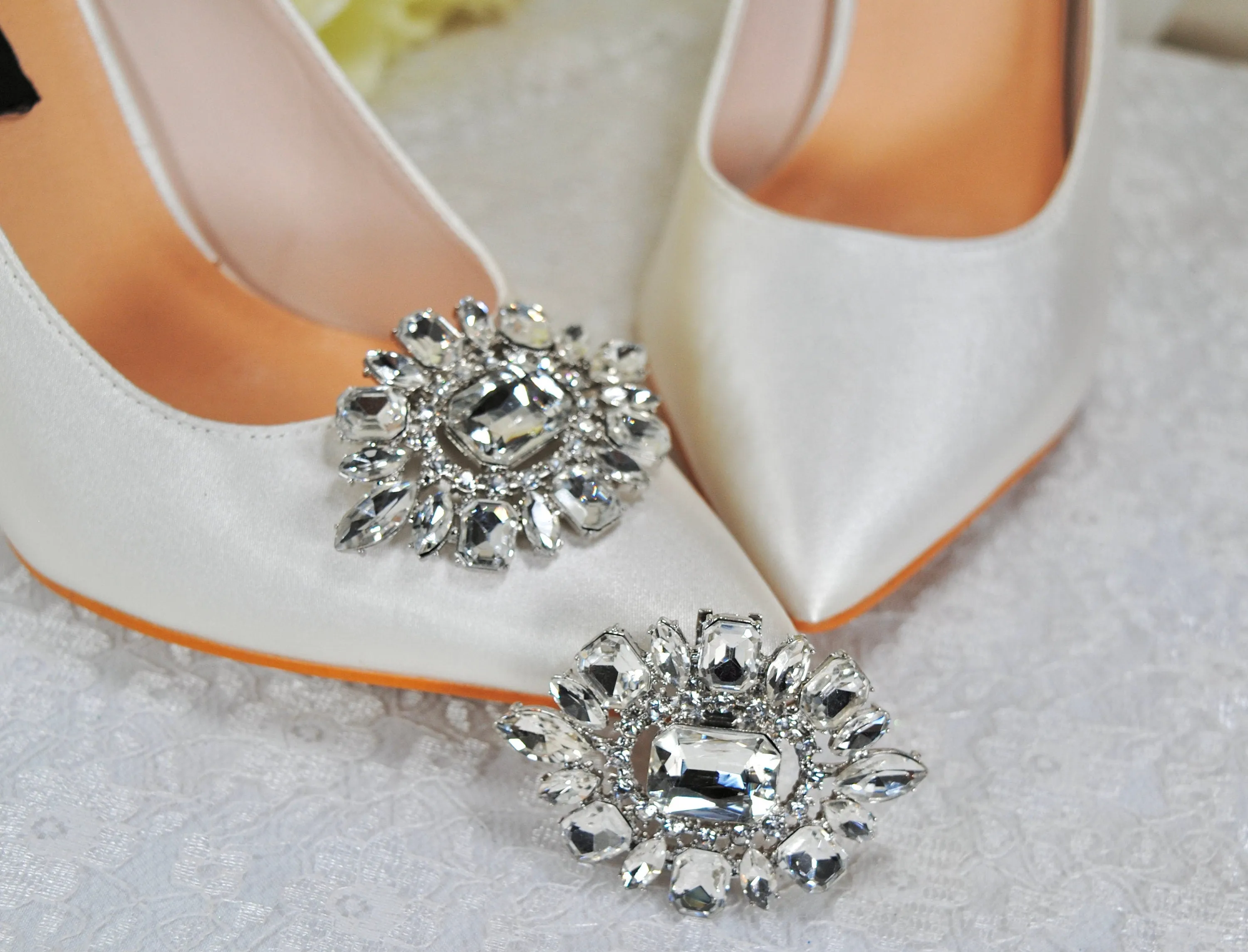 Beautiful Crystal Shoe Clips and Navy Matching Bag