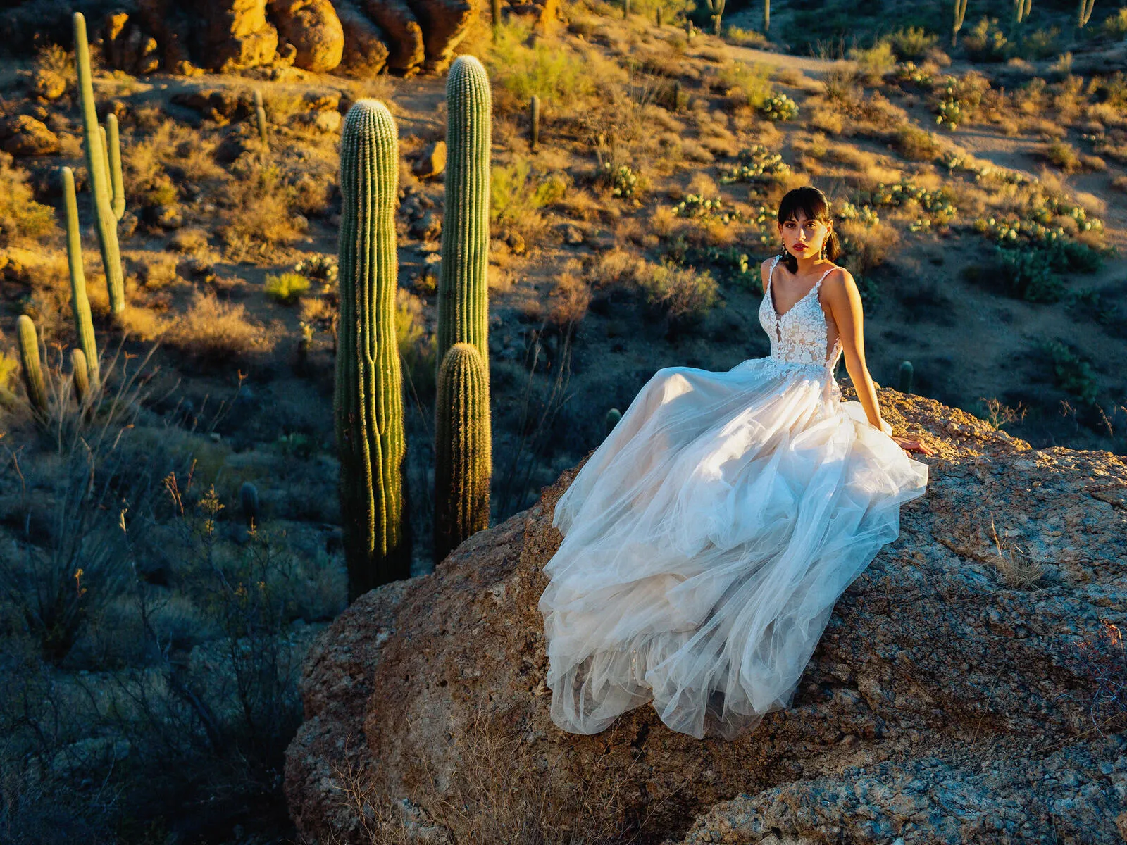 Wilderly Bride by Allure Dress F238